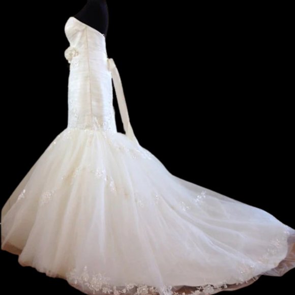 Maggie Sottero "Corinne" Wedding Gown - Sz. 10 - Picture 3 of 6